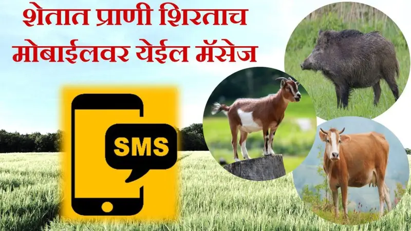 शेतामध्ये प्राणी शिरताच मोबाईल मध्ये येणार मॅसेज | IoT-Based System for Crop Protection for Animals