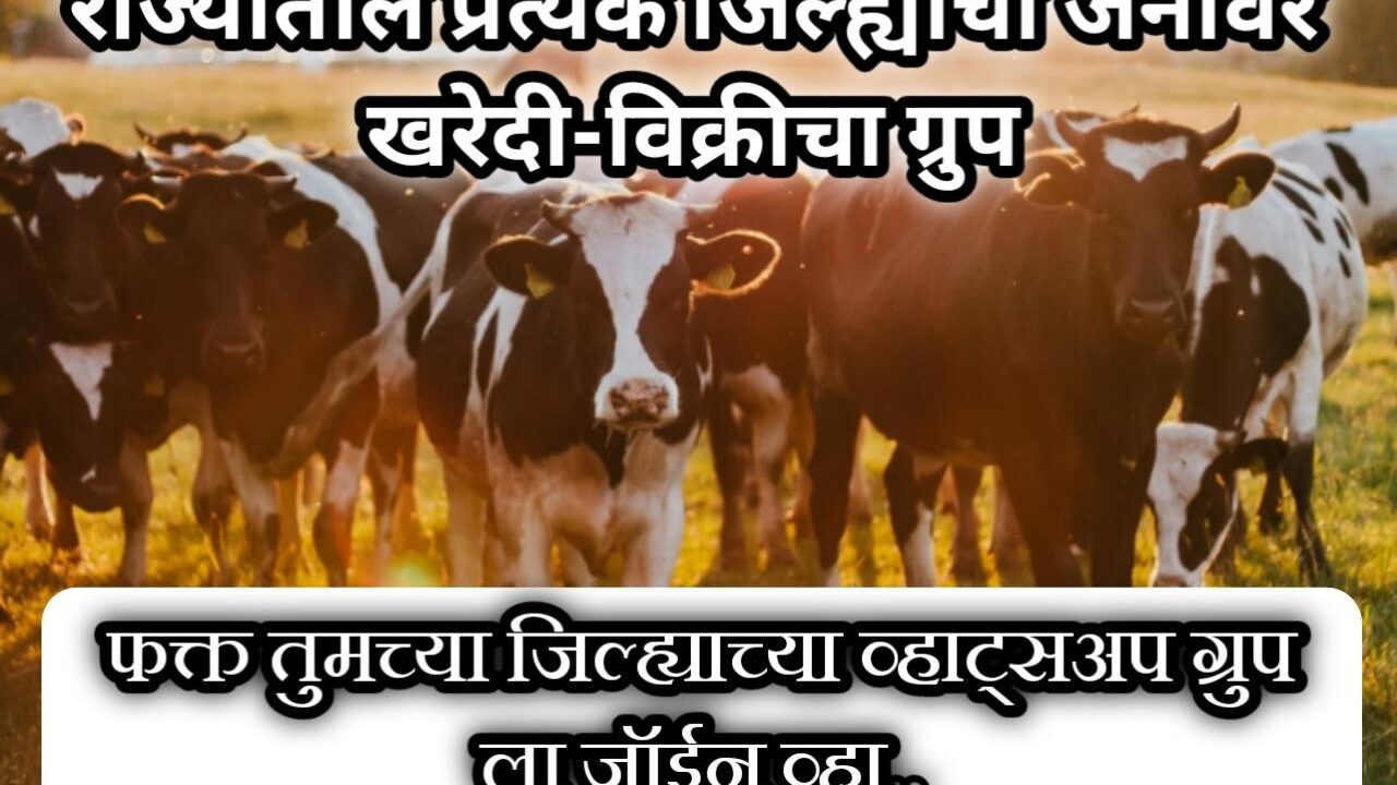 महाराष्ट्रातील प्रत्येक जिल्ह्याचा जनावर खरेदी विक्रीचा ग्रुप | Maharashtra district wise animal buy sell group