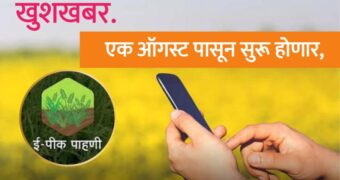 एक ऑगस्टपासून मोबाईलवर ई पीक पाहणीला सुरुवात होणार | e pik pahani starts from 1 August