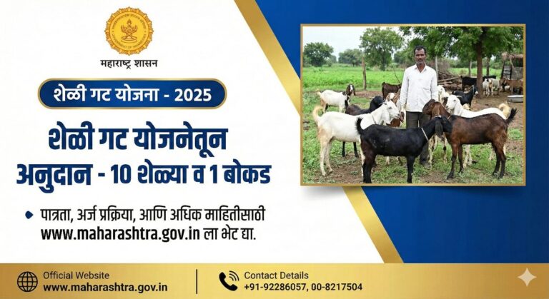 शेळी - मेंढी पालन अनुदान योजने  अंतर्गत 10 शेळ्या व 1 बोकड यासाठी मिळवा 50 ते 75 टक्के पर्यंत अनुदान
