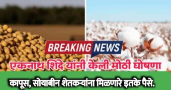 कापूस व सोयाबीन शेतकऱ्यांना मिळणार तब्बल एवढे पैसे | cotton and soybean farming subsidy