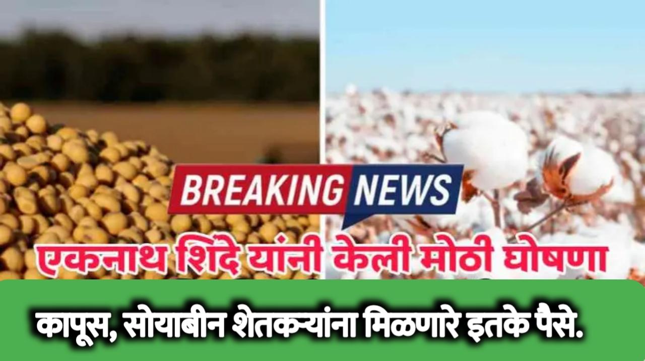 कापूस व सोयाबीन शेतकऱ्यांना मिळणार तब्बल एवढे पैसे | cotton and soybean farming subsidy