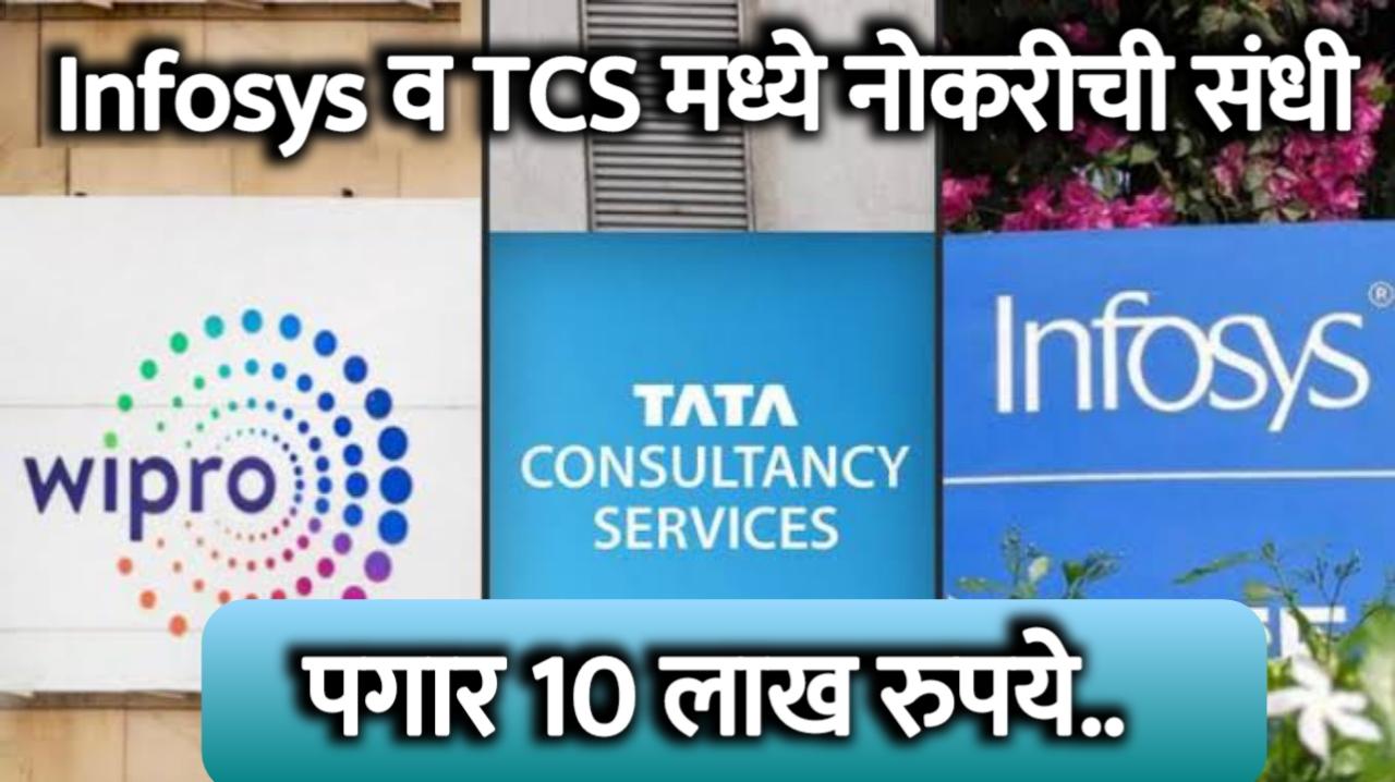 IT job: Infosys आणि TCS मध्ये नोकरी करण्याची संधी | 10 लाख रुपये पगार