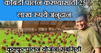 कोंबडी पालन करण्यासाठी शासन देत आहे तब्बल 25 लाख रुपये सबसिडी|Poultry Farming  50% Subsidy for Loans up to ₹50 Lakh