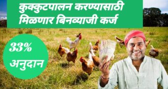 कुक्कुटपालनासाठी सरकारकडून मिळत आहे 33 टक्के अनुदान, असा करा अर्ज | poultry pharming subsidy scheme