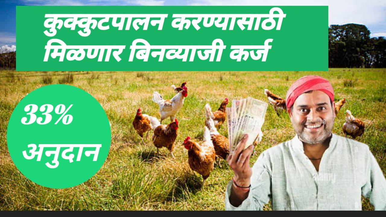 कुक्कुटपालनासाठी सरकारकडून मिळत आहे 33 टक्के अनुदान, असा करा अर्ज | poultry pharming subsidy scheme