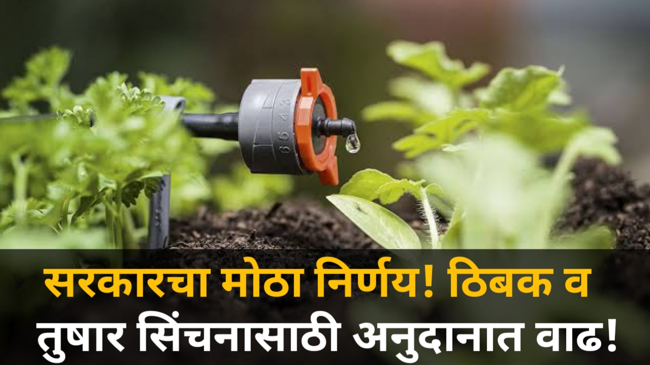 Micro Irrigation Subsidy:शेतकरी मित्रांनो, मोठी खुशखबर! ठिबक सिंचनासाठी सरकारकडून ऐतिहासिक पाऊल… अनुदानात मोठी वाढ!