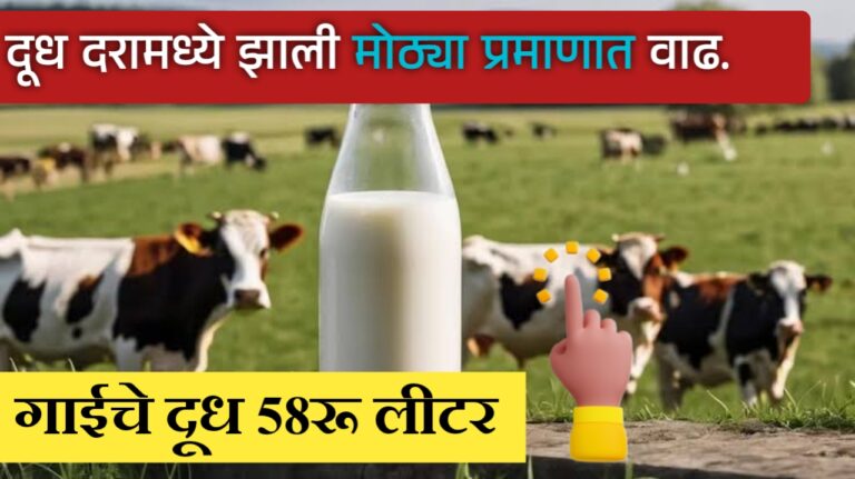 दूध दरात वाढ: गायीचे दूध ५८ रुपये, म्हशीचे दूध ७४ रुपये प्रतिलिटर. New milk rate