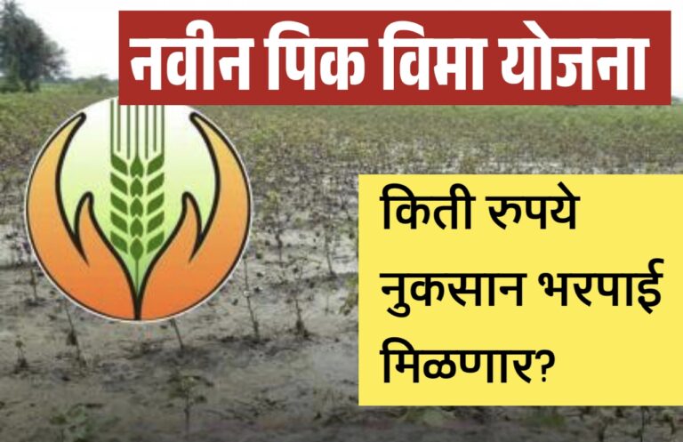 Pik Vima Yojana: सुधारित पीक विमा योजनेत कोण, किती नुकसान भरपाई देईल? वाचा सविस्तर