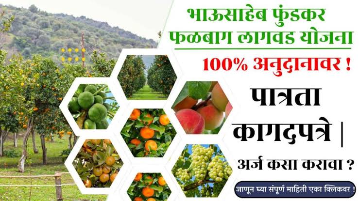 Phalbaag Lagvad Yojana 2025-26 ची अर्ज प्रक्रिया: स्टेप बाय स्टेप मार्गदर्शन