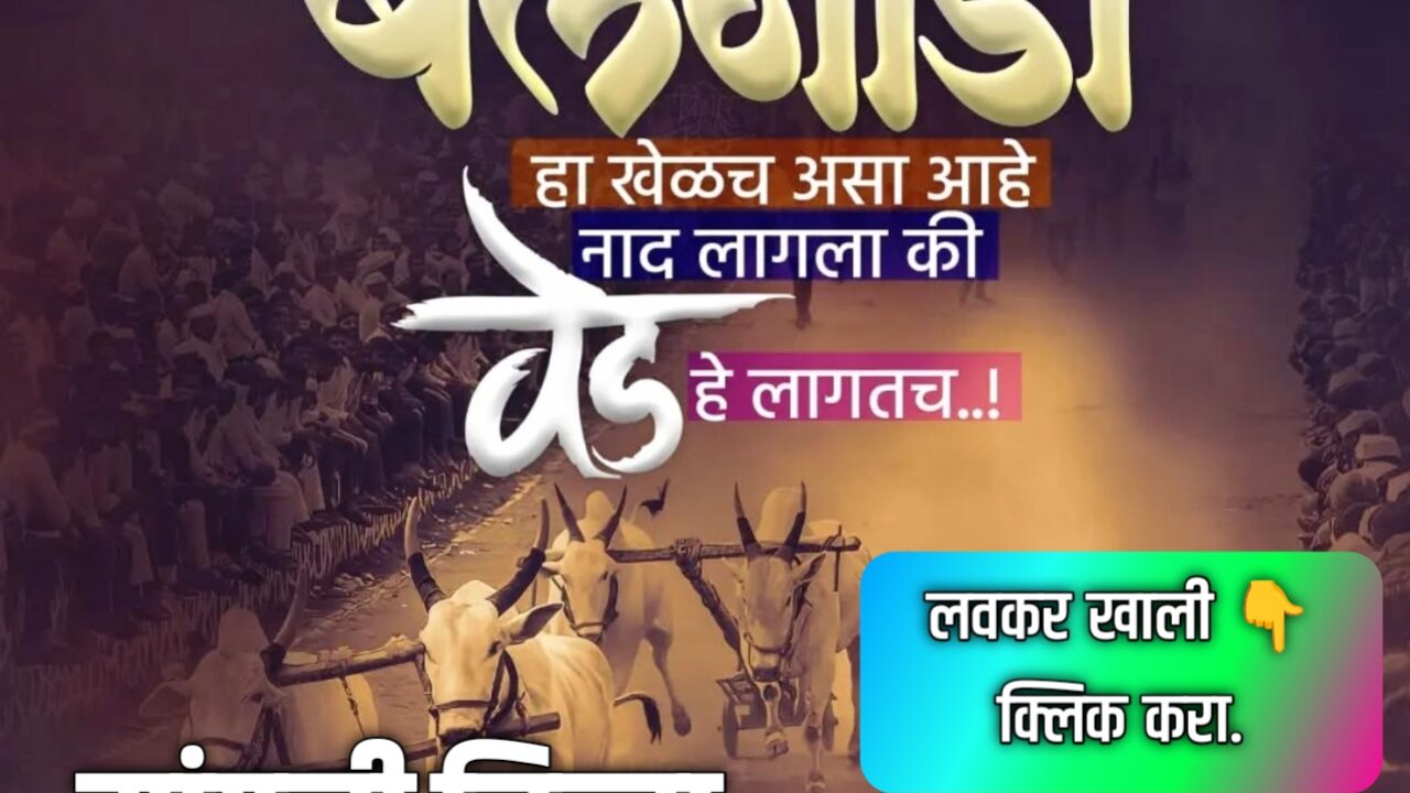 सांगली जिल्ह्यातील बैलगाडा शर्यतीचा उत्सव: व्हाट्सअप ग्रुप जॉईन करून जोडले जा या थराराशी!