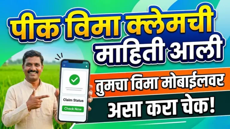 मोबाईलवरच पीक विमा क्लेम मंजूर झाला की नाही, 'असे' तपासा! थेट बँक खात्यात किती पैसे येणार, मिनिटात बघा!
