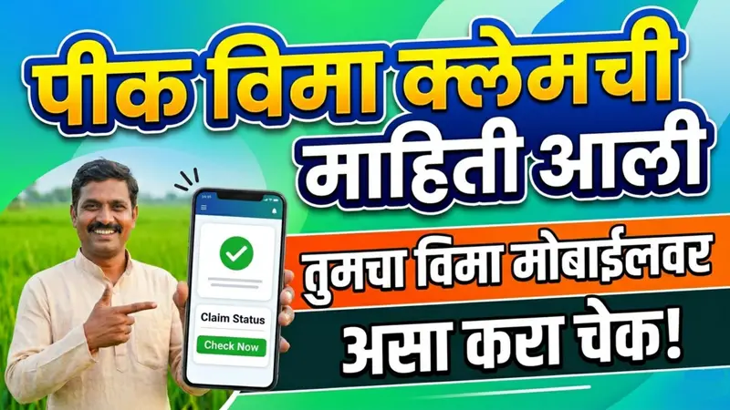 मोबाईलवरच पीक विमा क्लेम मंजूर झाला की नाही, 'असे' तपासा! थेट बँक खात्यात किती पैसे येणार, मिनिटात बघा!