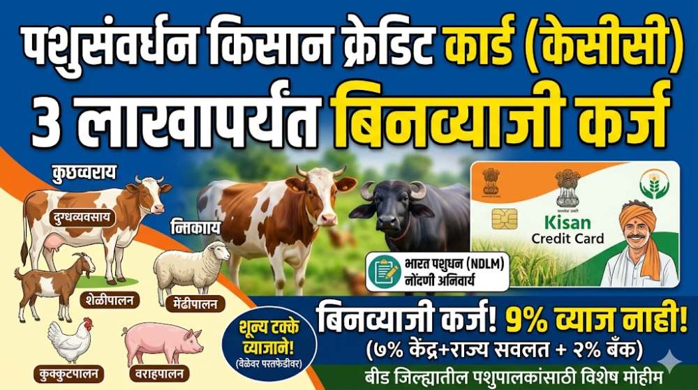 शेतकऱ्यांसाठी सुवर्णसंधी! शेळी-मेंढीपालनासाठी मिळेल बिनव्याजी ३ लाखांपर्यंत कर्ज, 'ही' योजना बदलणार तुमचं आयुष्य!