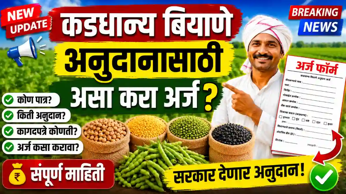 शेतकऱ्यांसाठी सुवर्णसंधी: 'या' पिकांसाठी मिळणार १००% बियाणे अनुदान! लगेच अर्ज करा!